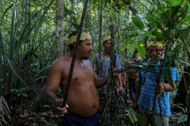 Brésil: chez des indigènes d'Amazonie, des plantes contre le coronavirus