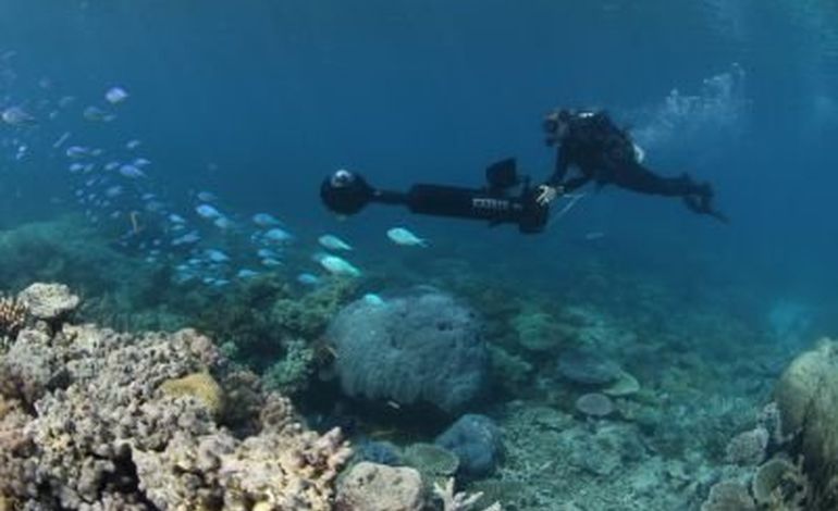 Google Street View plonge sous les plus belles mers du monde