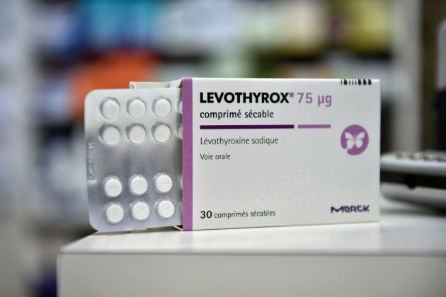 Changement de formule du Levothyrox: la Cour d'appel de Lyon reconnait "une faute" de Merck