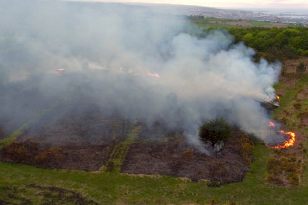 Près de Rouen. Incendie sur une parcelle forestière : deux hectares brûlés