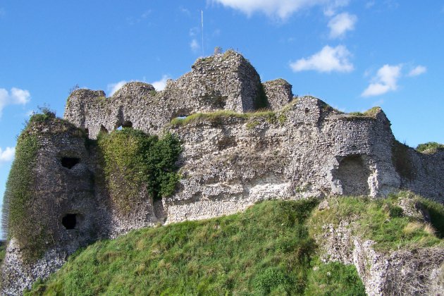 Seine-Maritime. Le château d'Arques-la-Bataille, d'augustes ruines remarquables