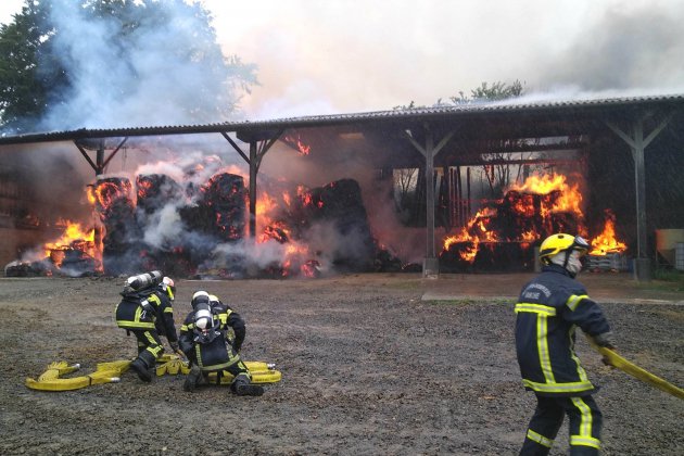Eure. Incendie d'un bâtiment agricole : des bovins échappent au sinistre