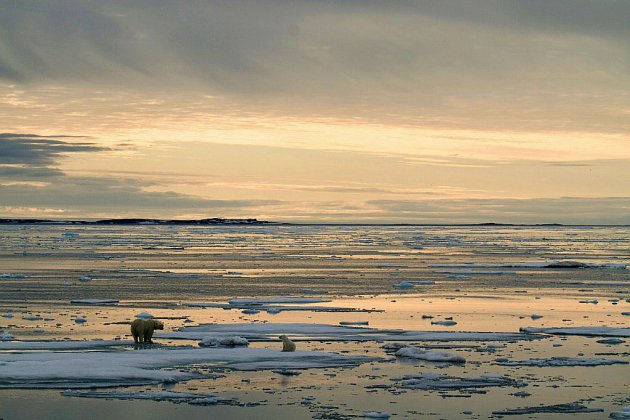 Arctique: record de chaleur dans le Svalbard norvégien