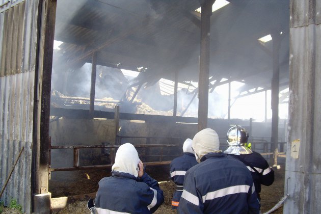 Manche. Incendie dans un stock de laine: 120 moutons sauvés des flammes