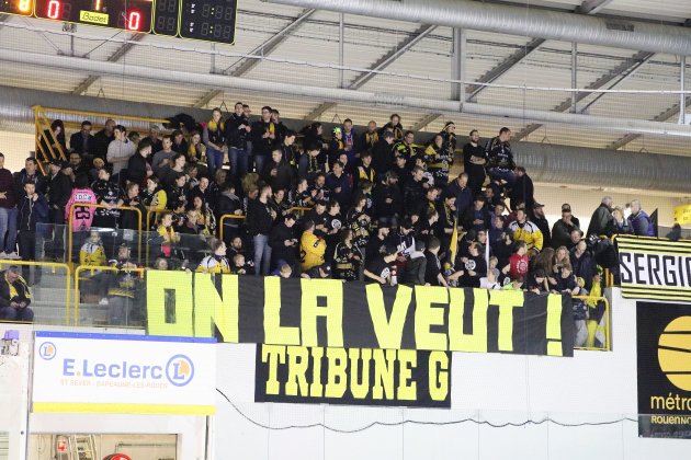 Rouen. Supporters : un retour vital pour les clubs
