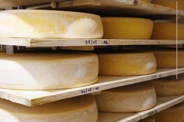 [Vidéo] Sud-Manche. La ferme Cara-Meuh dévoile son nouveau fromage : le Comfiné
