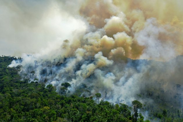 La déforestation en Amazonie brésilienne au plus haut depuis 12 ans