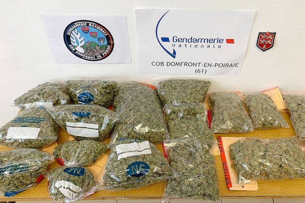 Domfront. Les gendarmes saisissent plus d'un kilo de cannabis