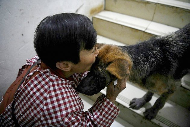 Chine: la retraitée qui partage sa maison... avec 1.300 chiens