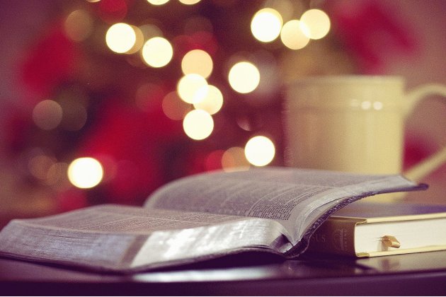 Idées cadeaux. Des livres normands à mettre sous votre sapin à Noël