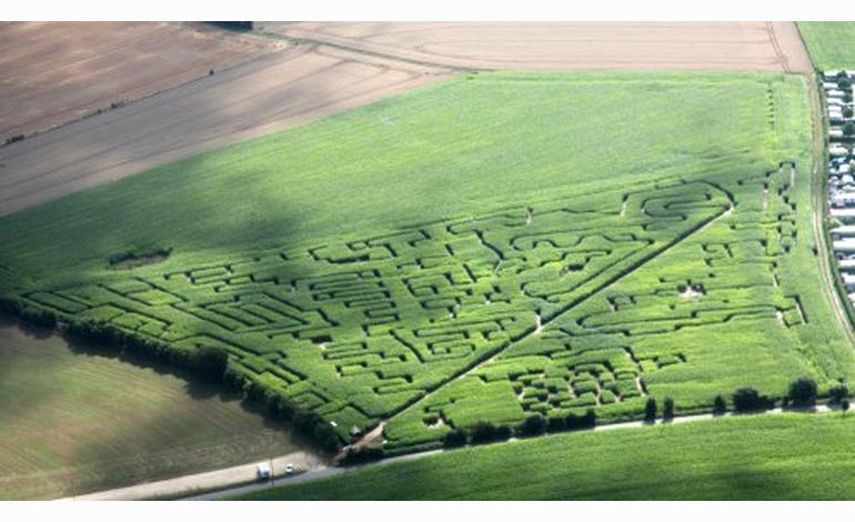 Un labyrinthe de maïs près de Rouen
