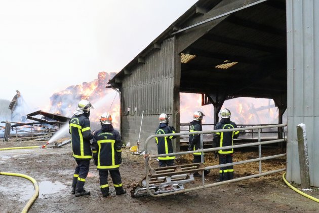 [Actualisé] Près d'Yvetot. Un bâtiment agricole ravagé par les flammes, 600 bovins sauvés