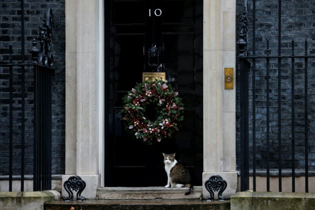 Le chat Larry, un animal politique à Downing Street