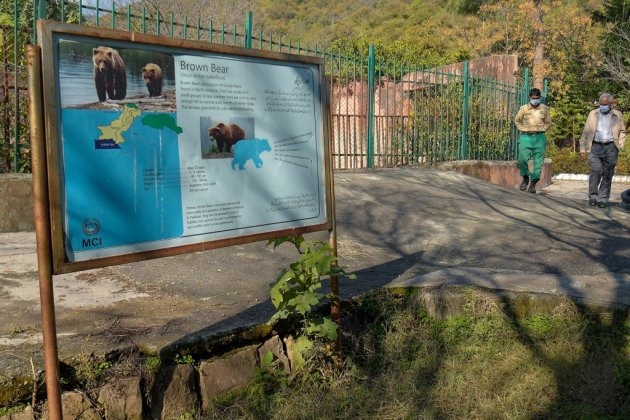 Le zoo d'Islamabad va se réinventer après le départ de l'éléphant Kaavan