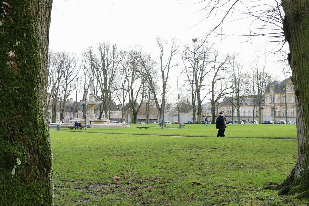 Bayeux. Les 33 tilleuls en fin de vie de la place de Gaulle seront abattus en mars 