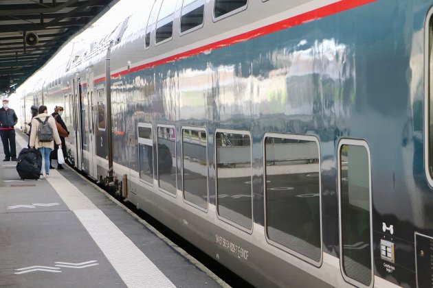 SNCF. Un train heurte un arbre, des retards sur la ligne Caen-Granville