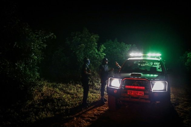 "Or vert": le juteux trafic du vol d'avocats en Afrique du Sud