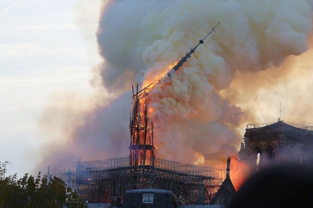 Orne. Deux ans après l'incendie, des chênes normands pour reconstruire Notre-Dame de Paris