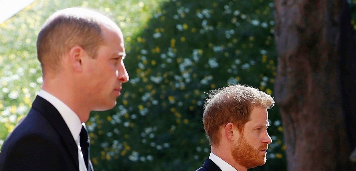 Les princes William et Harry se retrouvent pour inaugurer une statue de leur mère Lady Di