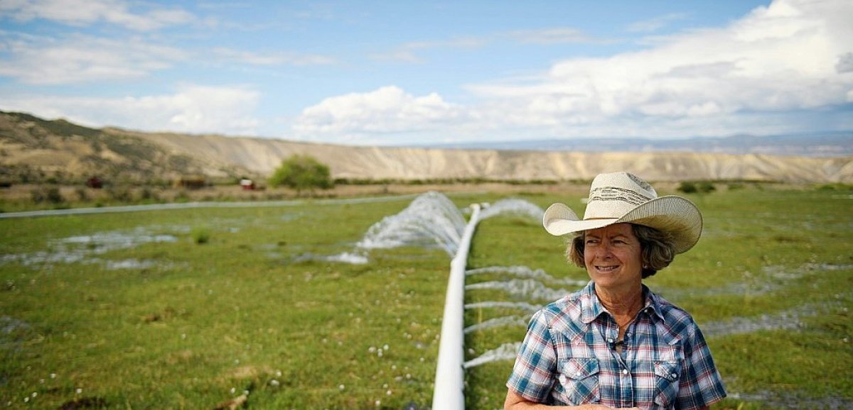 Les cowboys du Colorado sous pression climatique et sociale