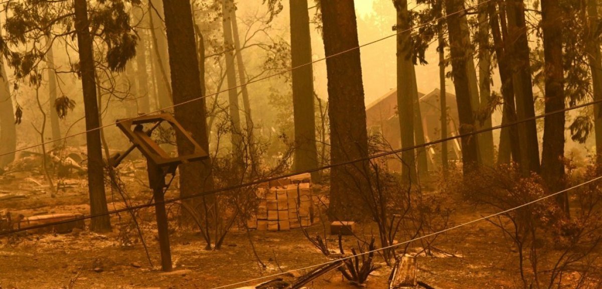 Des pompiers de Californie font équipe pour mieux combattre les incendies