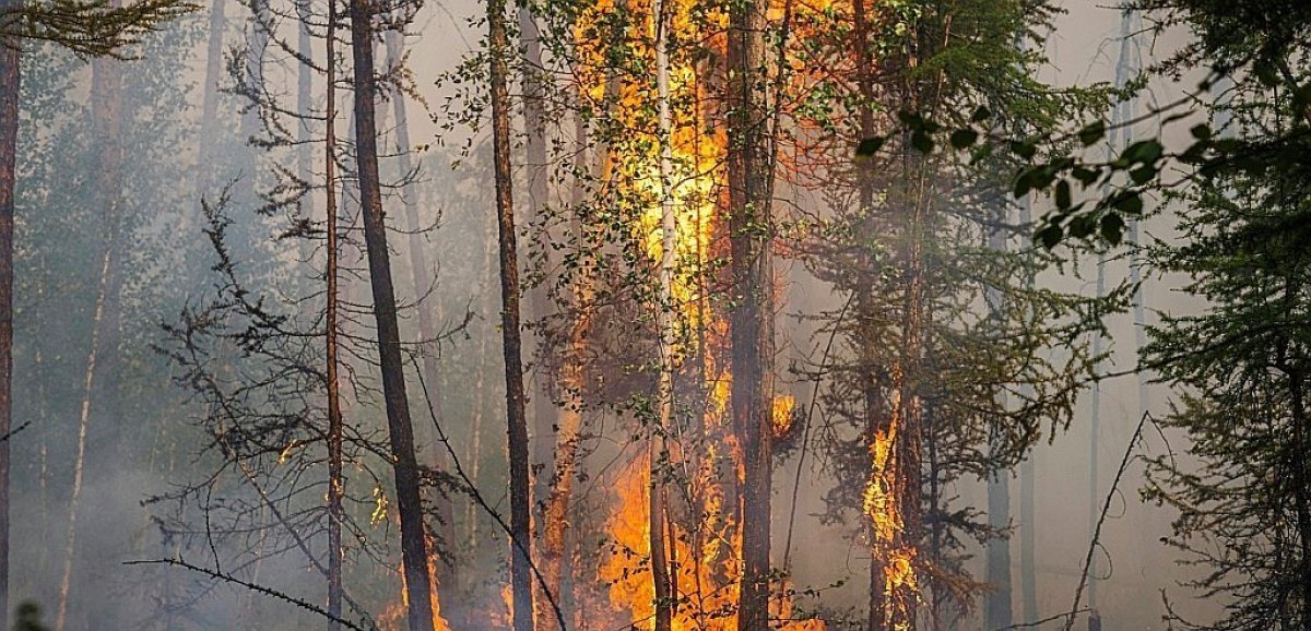 "Notre patrie brûle": en Sibérie, des bénévoles au front des feux de forêts
