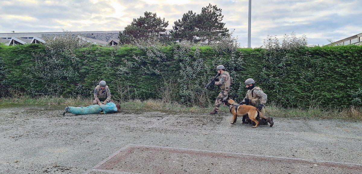 [Photos+vidéo] Cherbourg. Un exercice antiterroriste dans le cadre de l'OTAN
