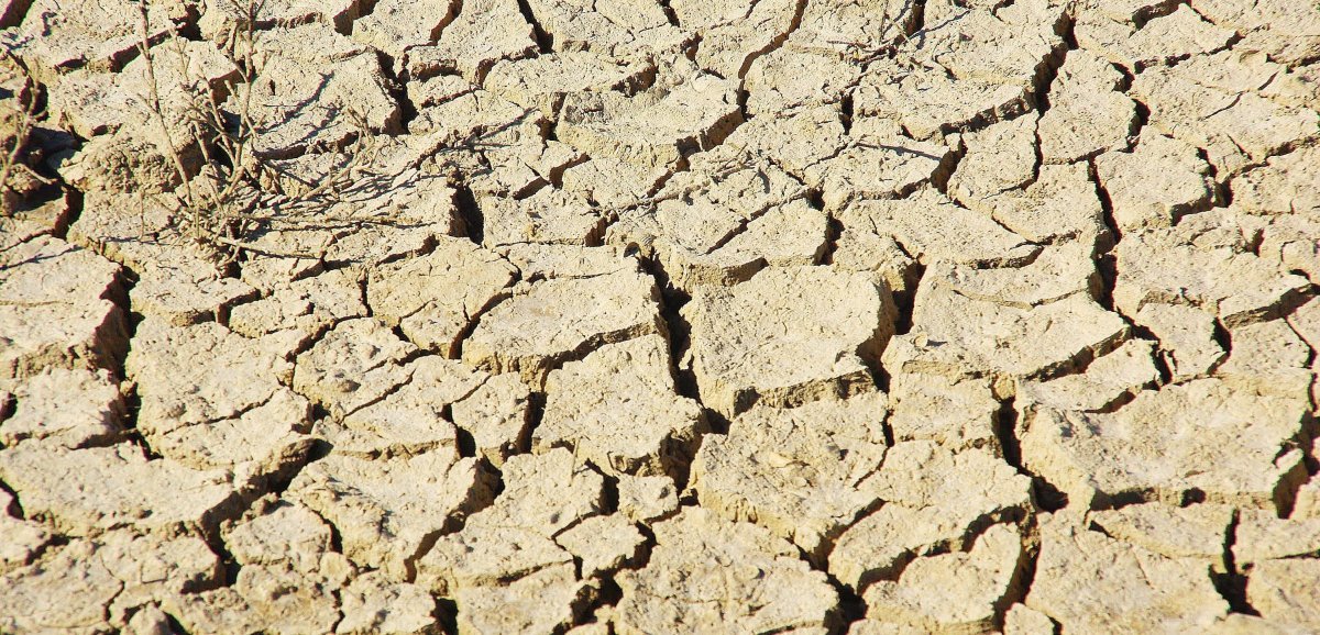 Calvados. La vigilance sécheresse déclenchée dans le département