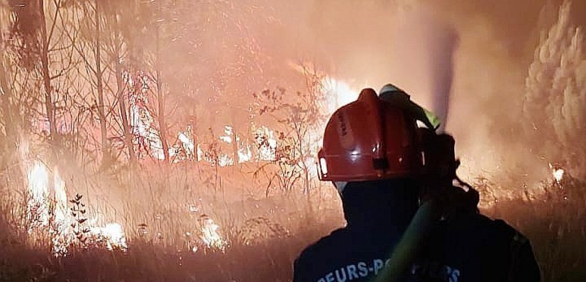 Incendies en Gironde. Des sapeurs-pompiers manchois dans l'enfer du brasier