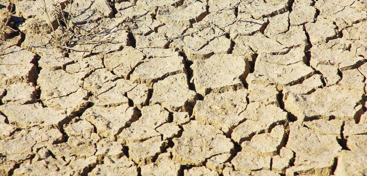 Manche. Le bassin versant de la Vire en alerte sécheresse renforcée