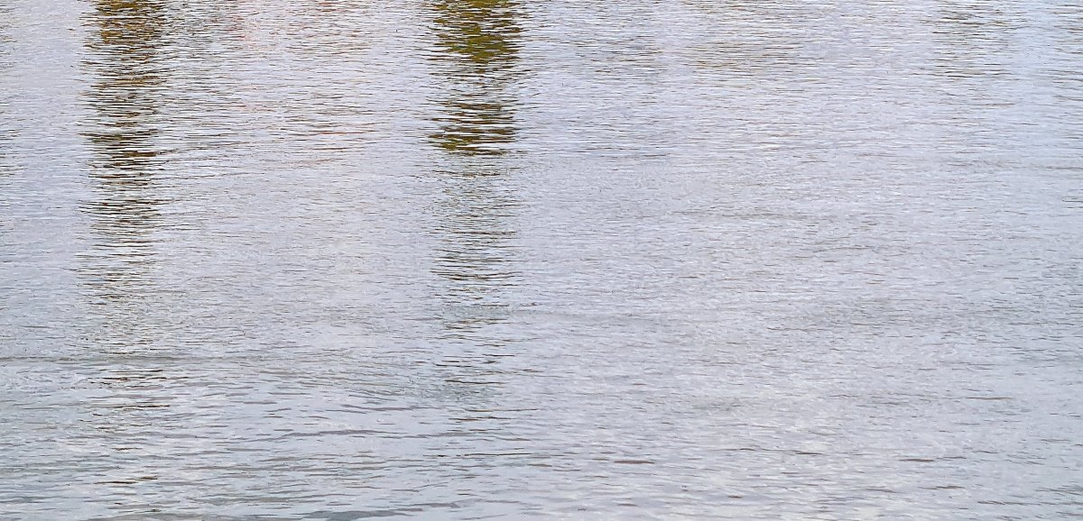 Eure. Un "animal aquatique inhabituel" aperçu dans la Seine