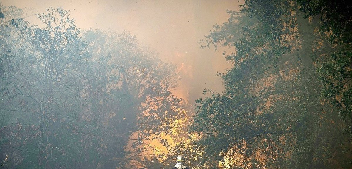 Incendie en Gironde: progression ralentie pendant la nuit, 3.500 hectares brûlés