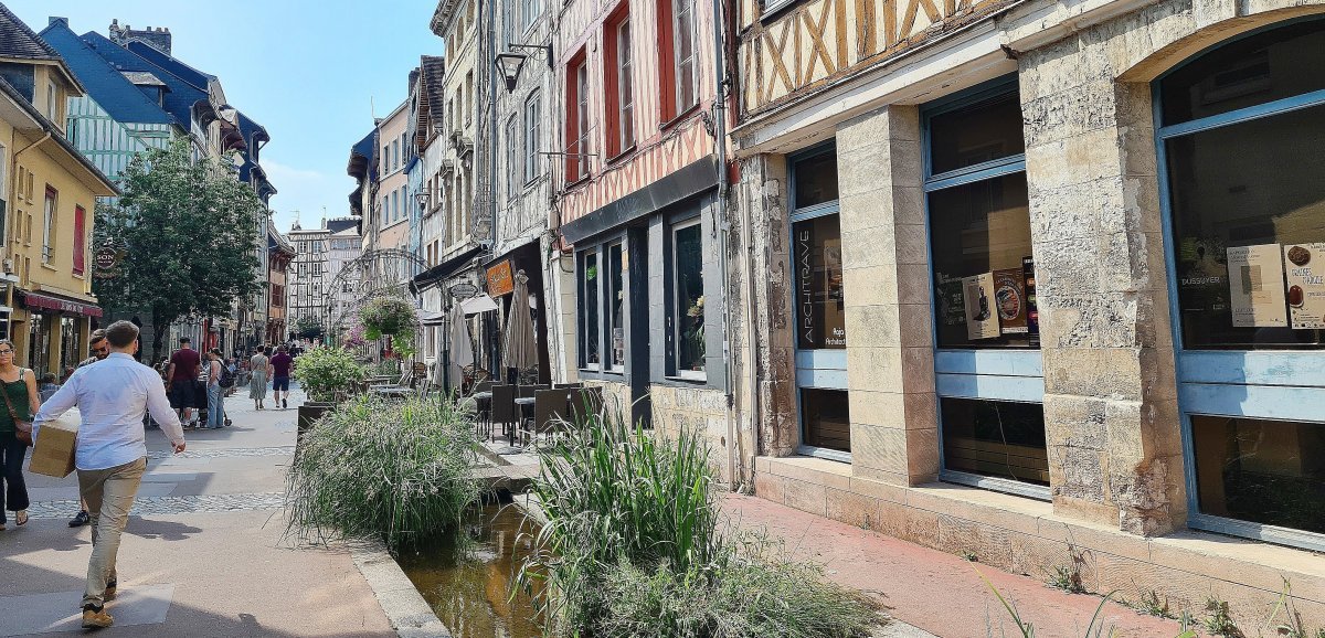 Mobilités douces. Rouen dans le top 10 des villes françaises où l'on peut vivre sans voiture