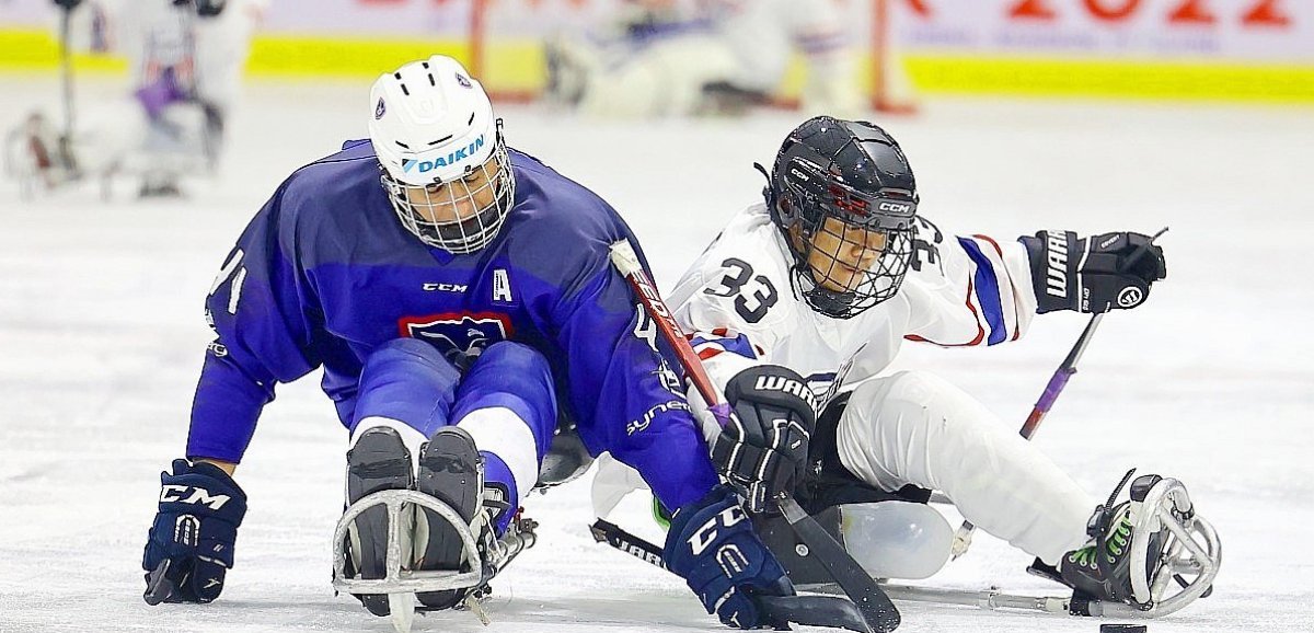 Para-hockey. Un premier Mondial et une première médaille