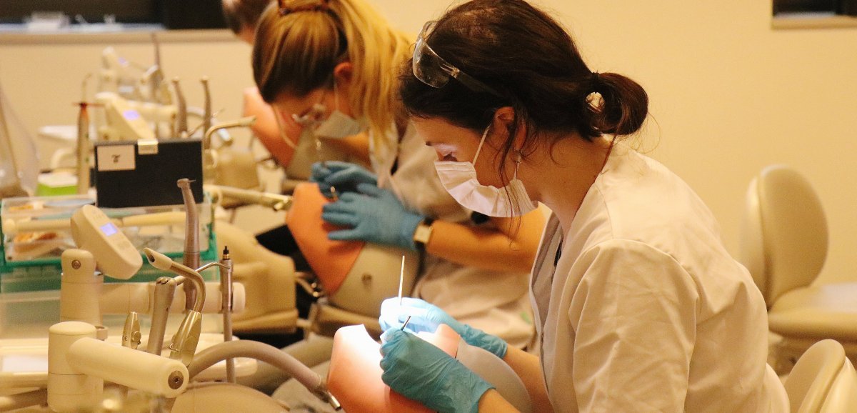 Caen. Accès aux soins dentaires difficile : une formation d'odontologie à l'Université