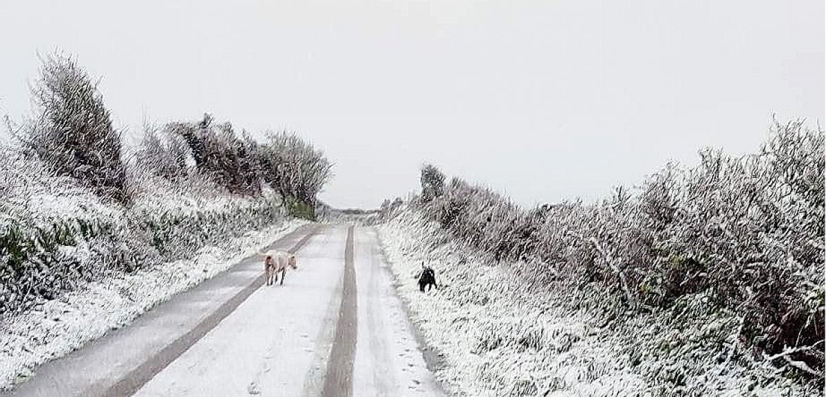 [Photos + Vidéos] Manche. Neige : de gros flocons sont tombés sur une partie du nord-Cotentin !