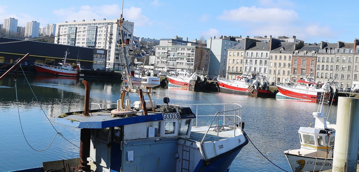 Cherbourg. Pêche : après une année 2022 "exceptionnelle", 2023 s'annonce plus difficile