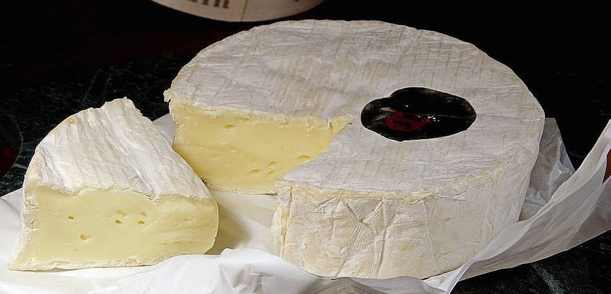 La mozzarella, le plus célèbre des fromages italiens