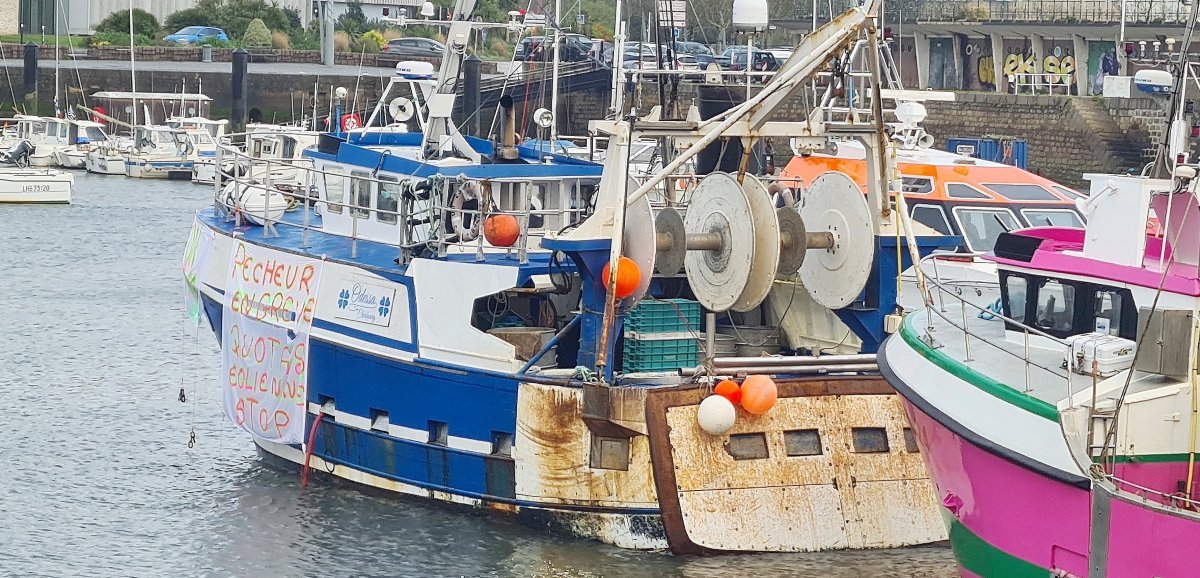 [Photos] Cherbourg. Au port, des pêcheurs affichent leur "ras-le-bol" sur leur bateau