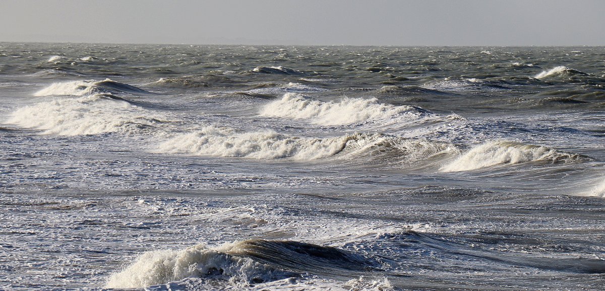 Météo. Tempête Noa : la Manche en vigilance orange pour des vents violents
