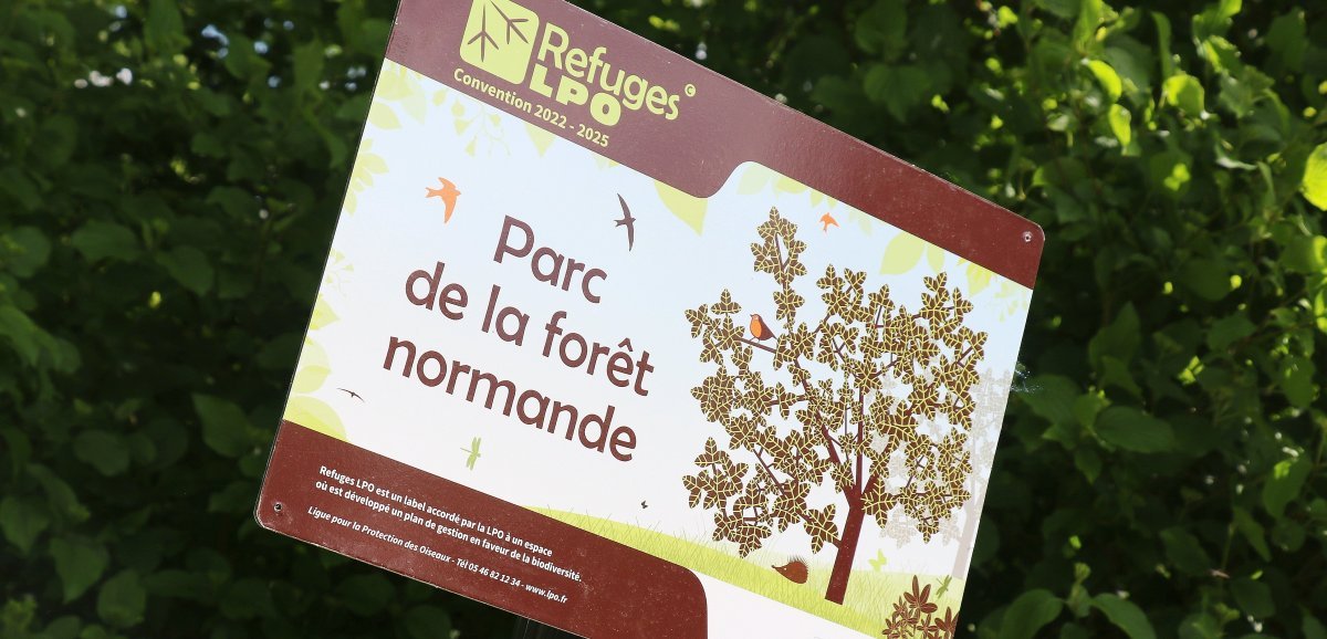 Argentan. Un refuge pour oiseaux au parc de la forêt normande, pour protéger la biodiversité