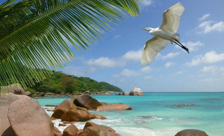 L’USQ file bronzer aux Seychelles !