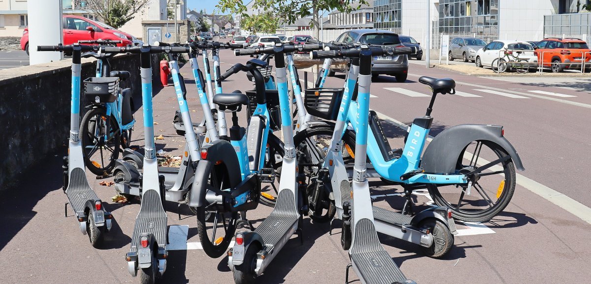 Cherbourg-en-Cotentin. Trottinettes et vélos électriques en libre-service : la Ville prolonge l'expérience