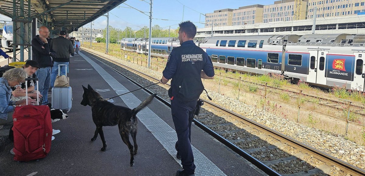 Caen. Dix détentions de stupéfiants signalées après des contrôles à la gare