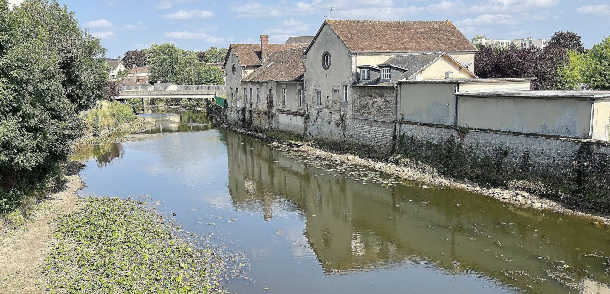 Alençon. Pourquoi les rivières la Briante et la Sarthe pourraient-elles changer de couleur ?