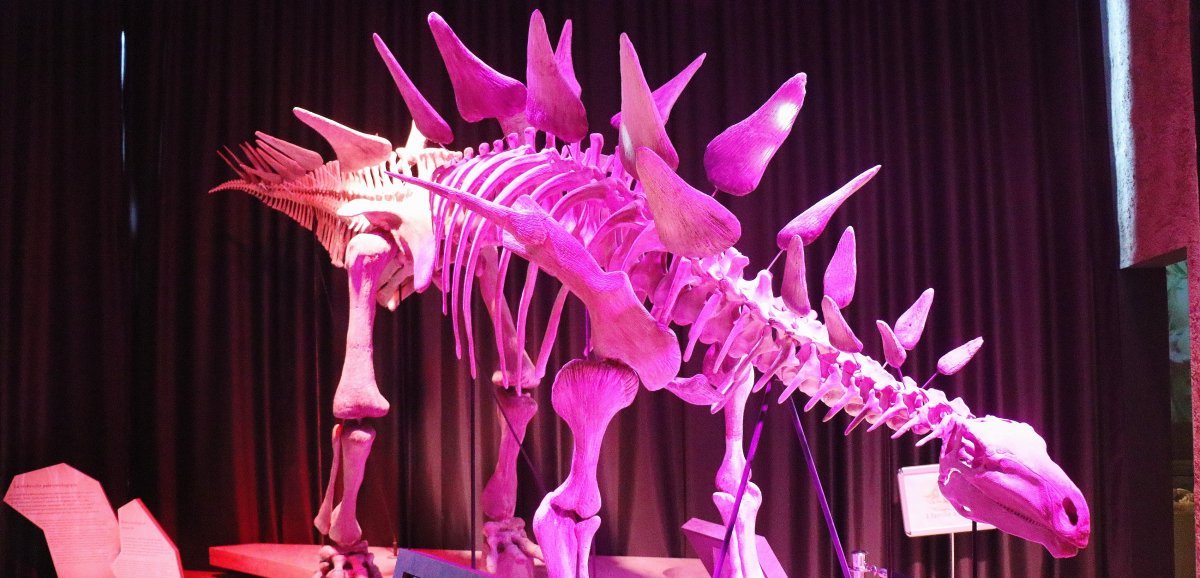 Musée. Retour au temps des dinosaures au Paléospace de Villers-sur-Mer