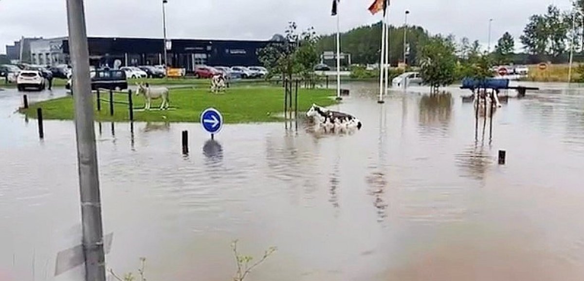 [Vidéo] Calvados. Inondations : la ville d'Isigny-sur-Mer sous l'eau