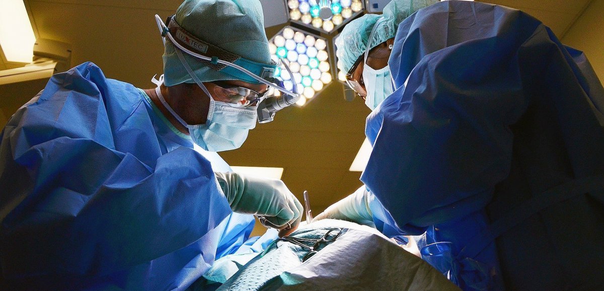 Greffe du larynx. Des chirurgiens du CHU de Rouen participent à une opération inédite en France