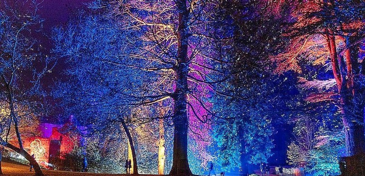 Noël. Promenade magique au milieu des arbres illuminés d'Harcourt