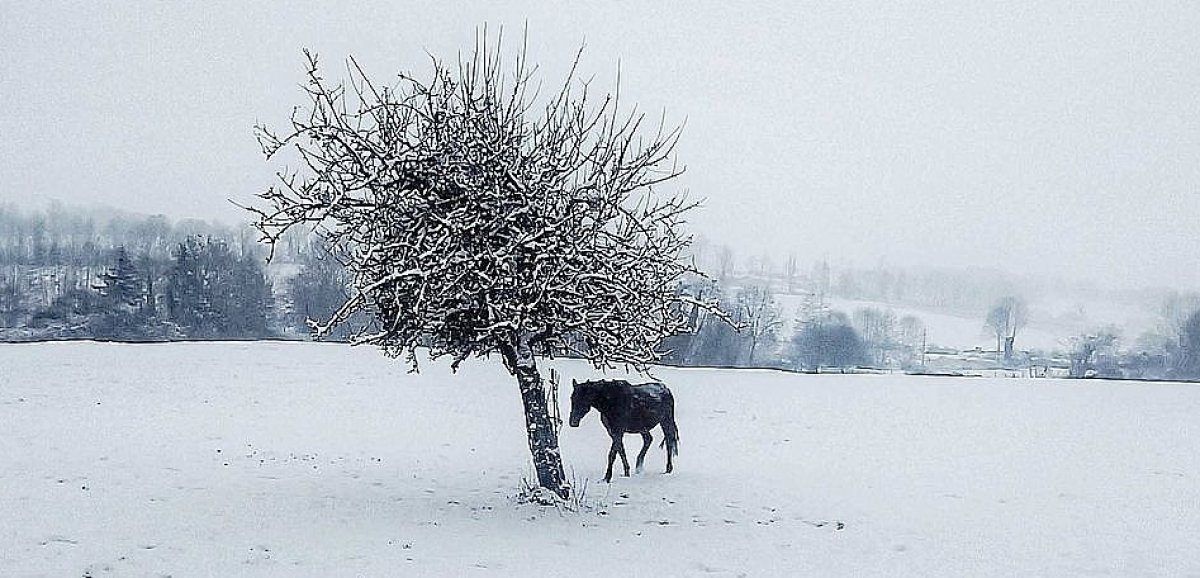[En images] Normandie. Il neige dans la région : voici vos 60 plus belles photos !